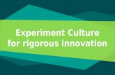 Experiment Culture - UAE Government Innovation Webinar