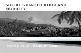 Social stratification and mobility