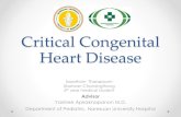 Topic Critical Congenital Heart Disease