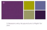 5 Reasons why Acupuncture is Right for you
