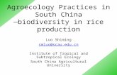 Agroecology Practices in South China —biodiversity in rice production