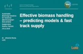 BEST: Effective biomass handling - predicting models & fast track supply. Johanna Routa