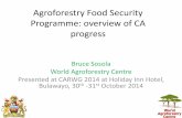 Conservation Agriculture research and development ICRAF 2014