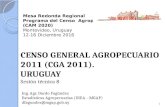 Uruguay - Tema 05:Ganado, Censo General Agropecuario 2011