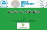 Trade in wildlife 2.6.2016