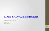 Limb salvage surgery