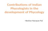 Contribution of indian phycologists in the development of phycology.