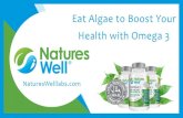Eat Algae to Boost Your Health with Omega 3 | Vitamins for Kids | Prenatal Vitamins