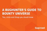 A bug hunter’s guide to bounty universe