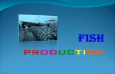 Fish Production - Class 9 (Biology+Social Science)