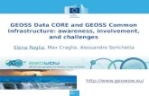 GEOSS Data CORE and GEOSS Common Infrastructure: awareness, involvement, and challenges