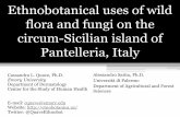Ethnobotanical uses of wild flora and fungi on the circum-Sicilian island of Pantelleria, Italy - 2015