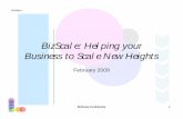 Biz Scale Overview