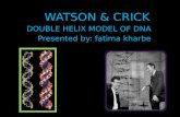 Fatima kharbe watson n crick model of dna