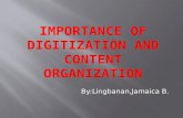 importance of digitization