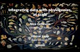 Integrating data with phylogenies, at scale