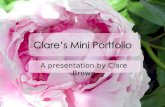 Clare's Mini Portfolio