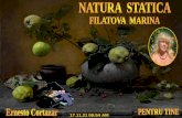 Natura statica filatova marina (nx power lite)