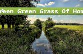 Green Green Grass Of Home 09