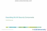 describing wlan security components