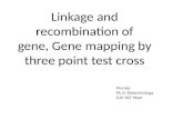 Linkage and recombination of gene