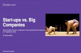 Start-Ups vs Big Companies – the Pros and Cons