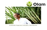 CII Olam  India Sugarcane Sustainability initiatives 25092016