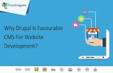 Why Drupal Is Favourable CMS For Website Development?