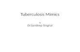 Tuberculosis mimics