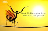 Best 20 Photographs of National Geographic