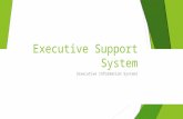 Executive support system