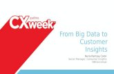 From Big Data to Customer Insights