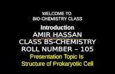 Prokaryotic Cell with detail in Biochemistry 2017
