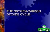 Oxygen co2 cycle