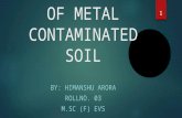 Bioremediation of metal contaminated soil