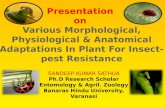Morphological, Physiological and Anatomical Adaptations for Plant Resistance