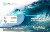 French Tidal Energy Market by Open Ocean