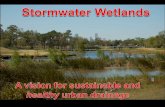 Stormwater Wetlands: A Vision for Sustainable and Healthy Urban Drainage