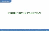 Forestry in Pakistan