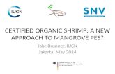 Certified Organic Shrimp: A New Approach to Mangrove PES?