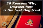 A Natural way to keep your Dog Healthy with Dogsee Chew