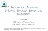Protection goals, assessment endpoints, ecosystem services and biodiversity