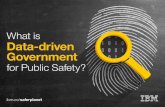 What is data-driven government for public safety?
