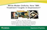 White Matter Deficits: New TMS Treatment Targets in Depression?