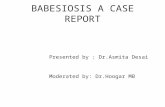 Babesiosis infection journal club