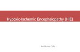 Management of hypoxic ischemic encephalopathy (HIE) by Sunil Kumar Daha