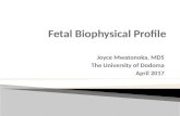 Fetal biophysical profile