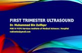 First trimester ultrasound Dr. Muhammad Bin Zulfiqar