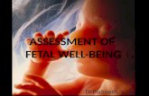 Assessment of Fetal Well being - Dr.Padmesh