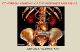 Presentation1.pptx, ct normal anatomy of the abdomen and pelvis.